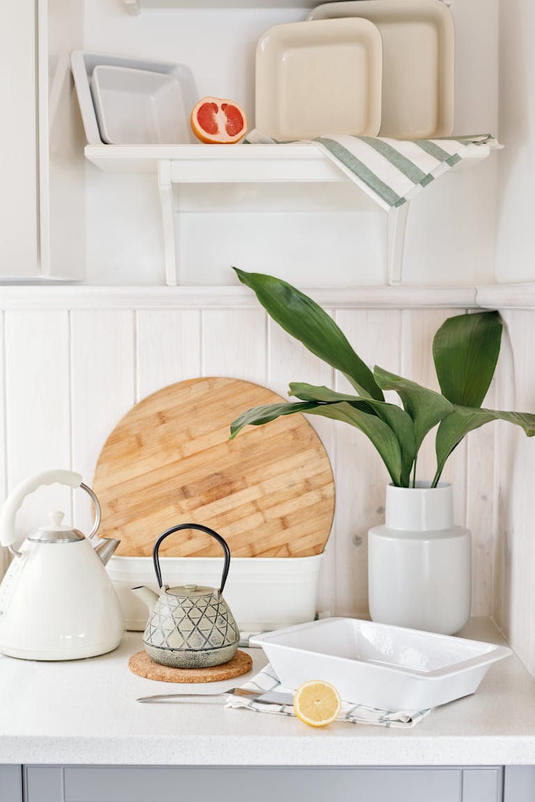 Green Plant in White Ceramic Vase