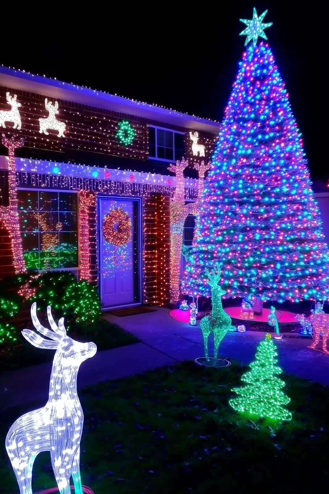 Outdoor Christmas Lights